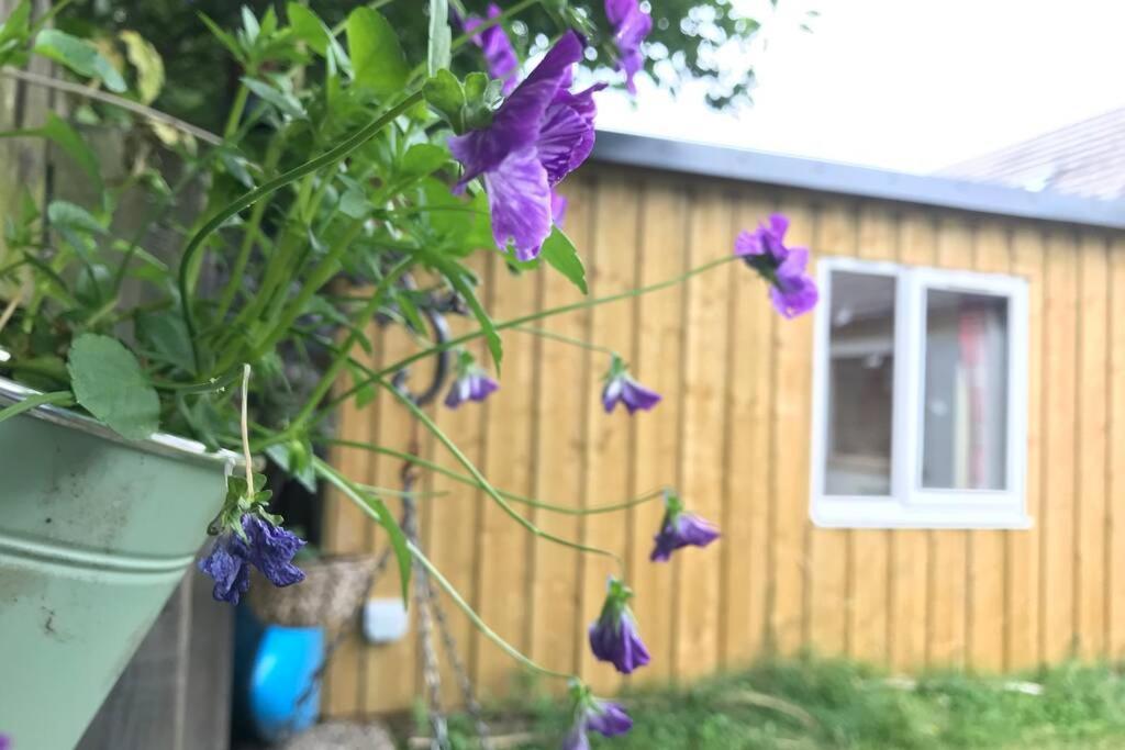 An Cabar Aviemore Exterior photo